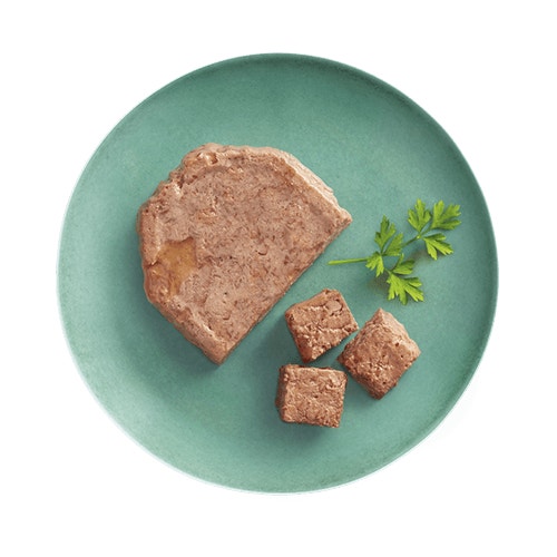 classic in terrine