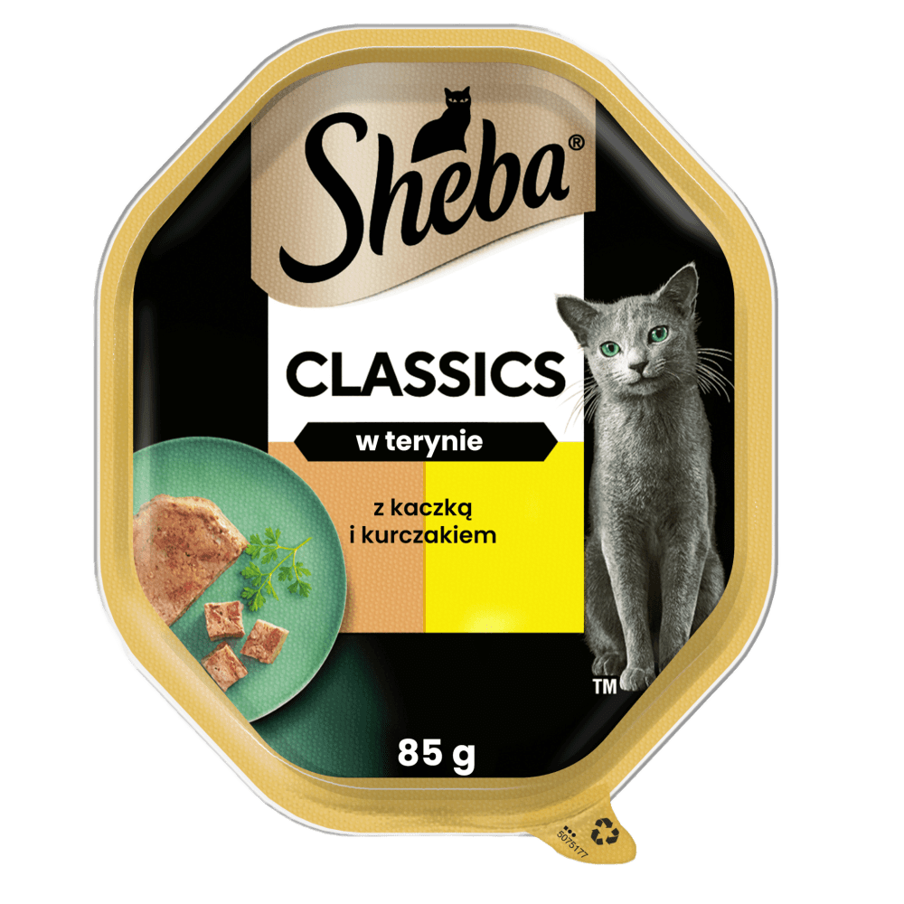 Classics z Kaczką i Kurczakiem w terynie