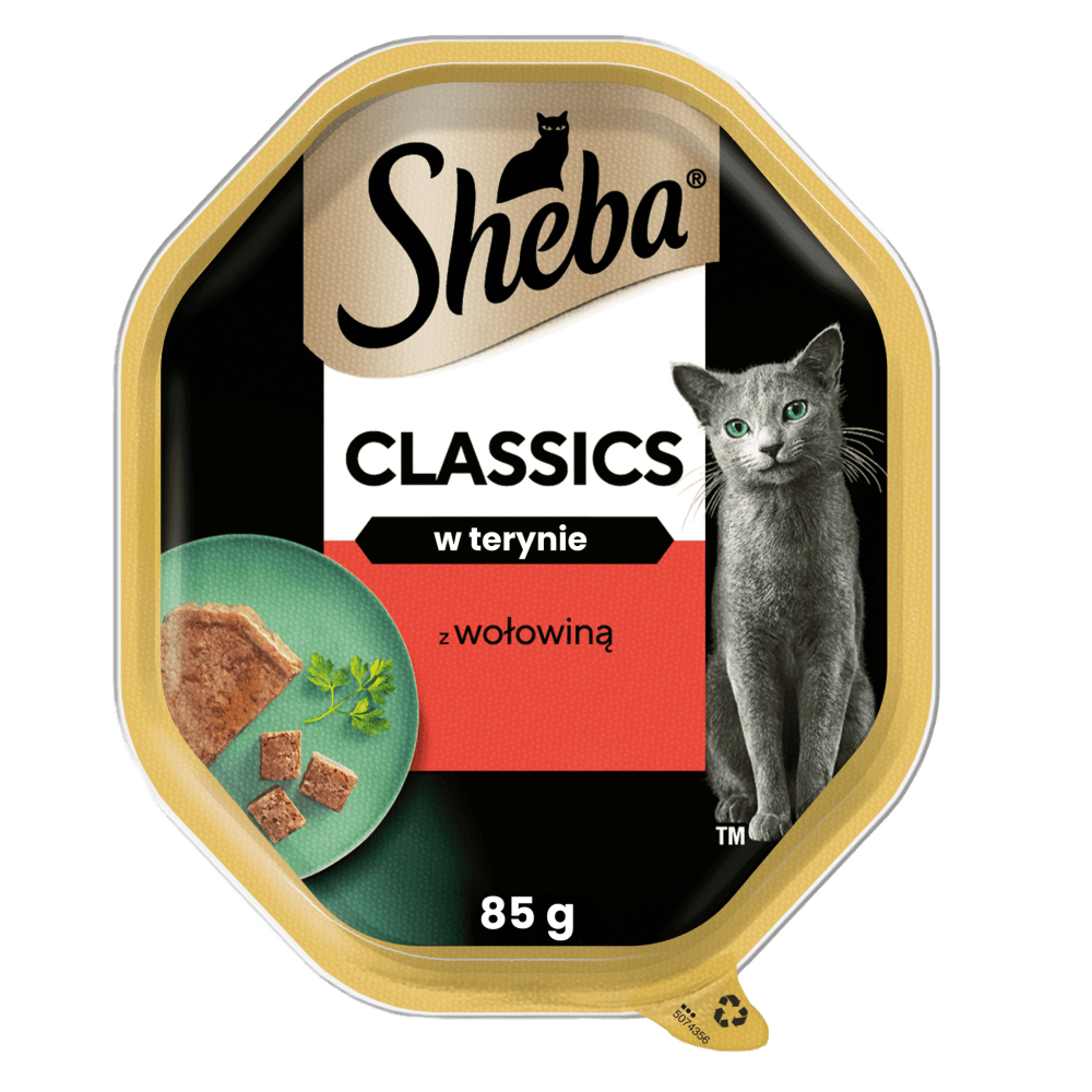 Classics z Wołowiną w terynie