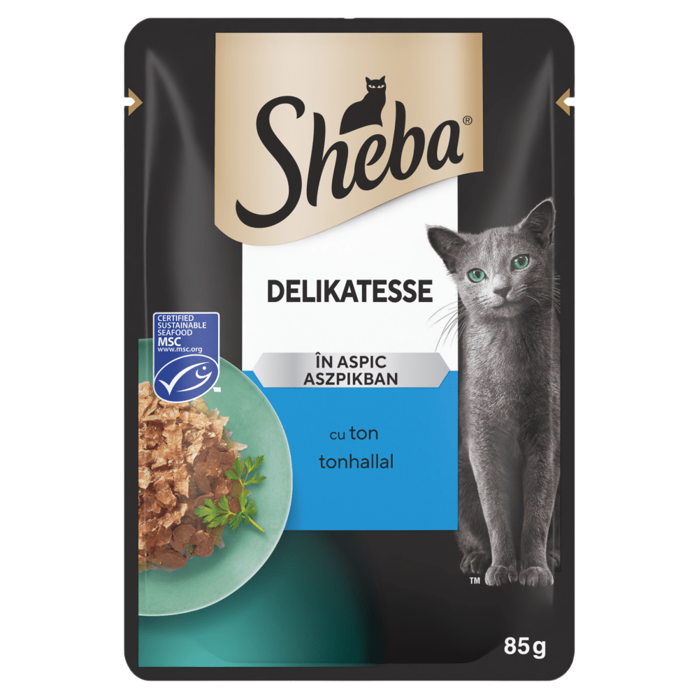 Delicacy z Tuńczykiem w galaretce