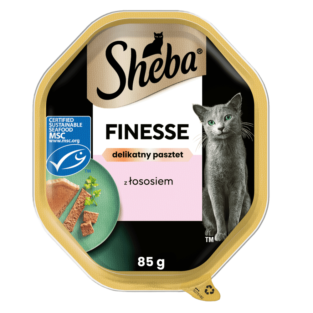 Finesse z Łososiem w delikatnym pasztecie