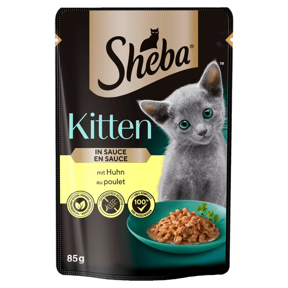 Kitten z Kurczakiem w sosie