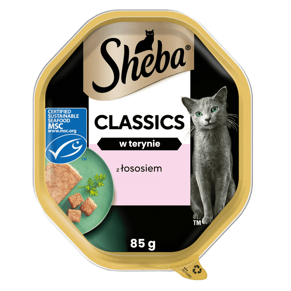 Classics z Łososiem w terynie