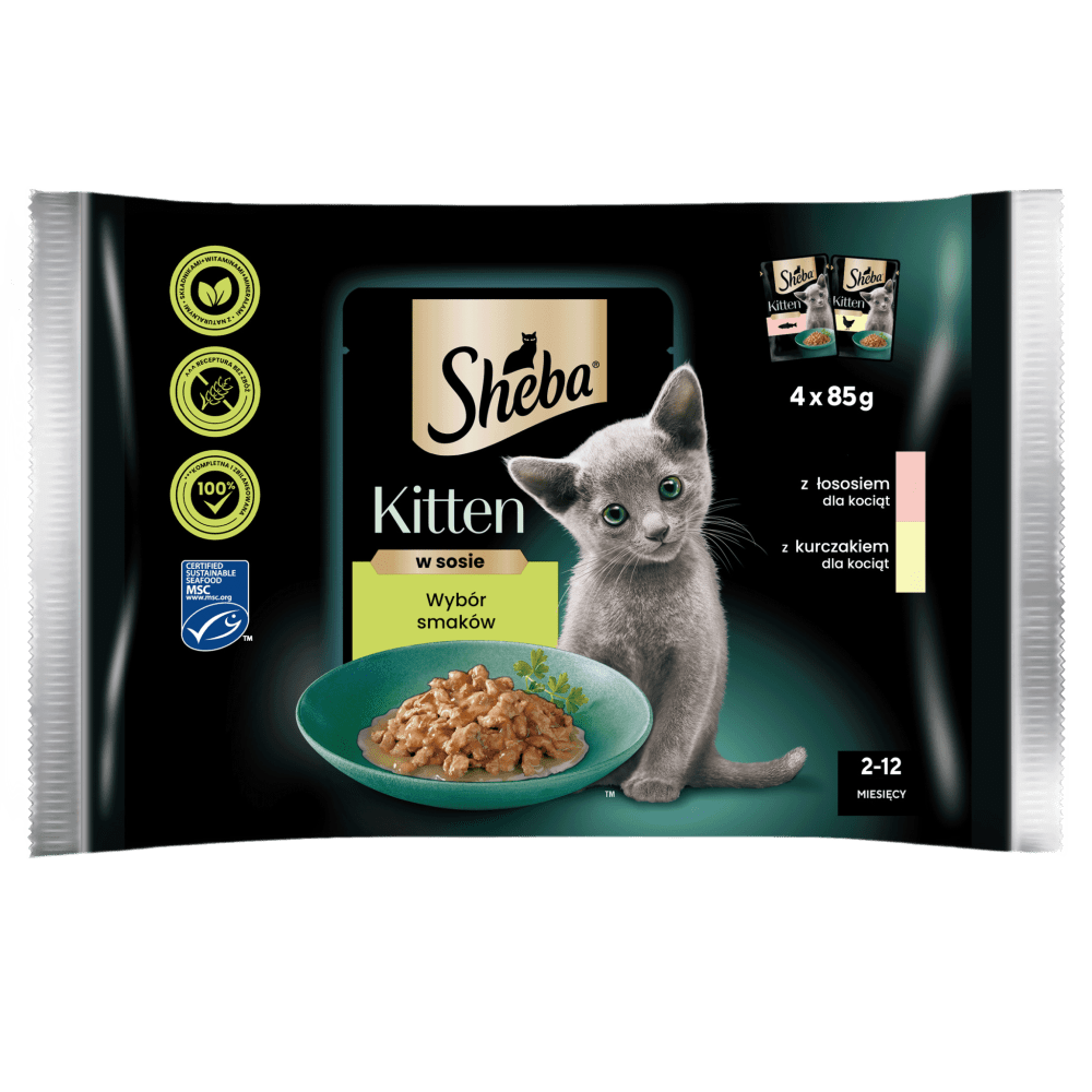 Kitten z Kurczakiem i Łososiem w sosie