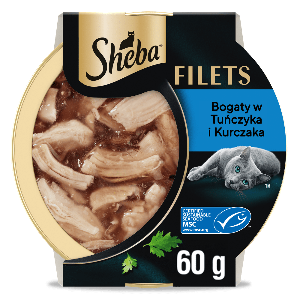 Filets z kurczakiem i tuńczykiem w sosie