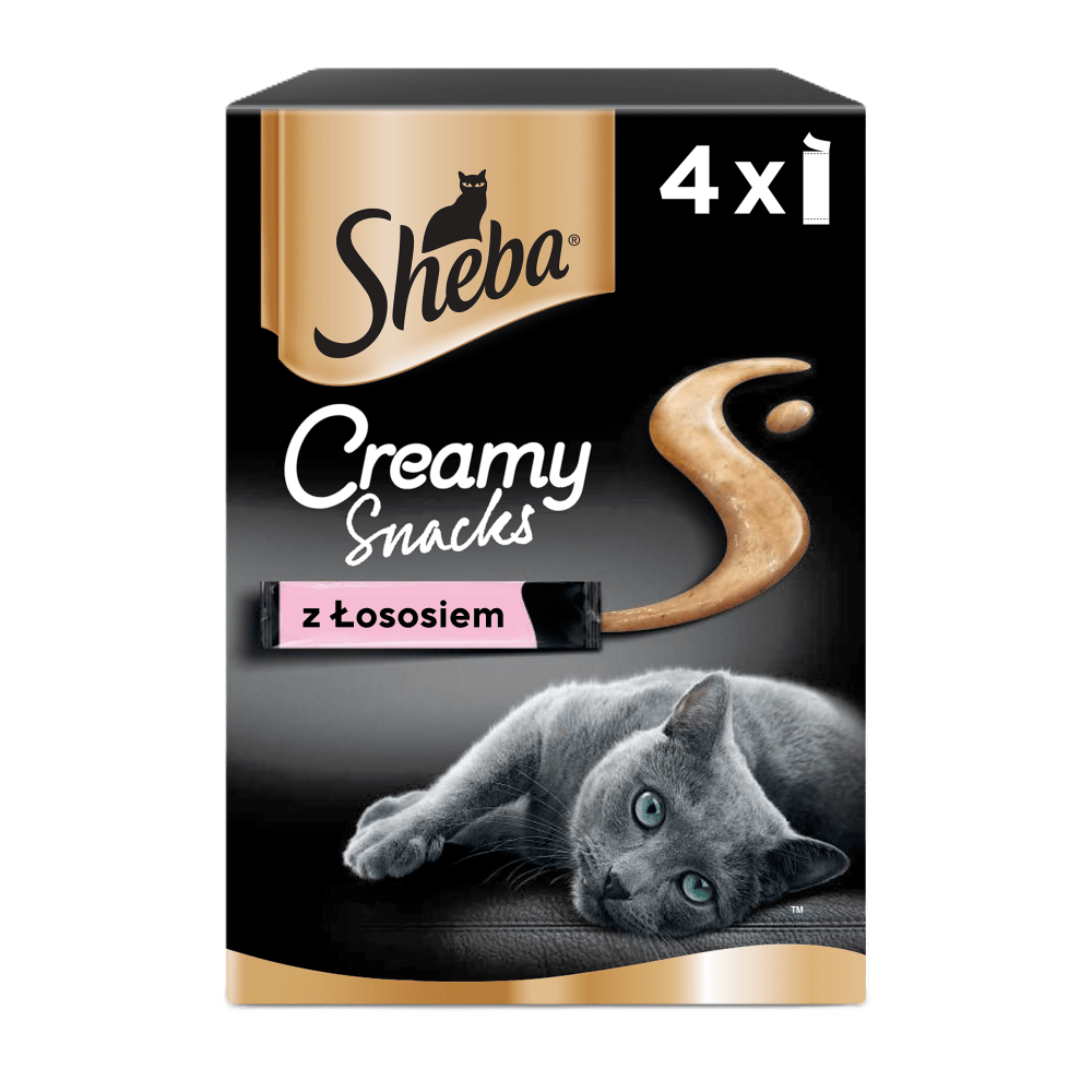 Creamy Snacks z Łososiem