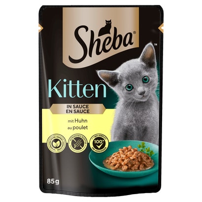 Kitten z Kurczakiem w sosie