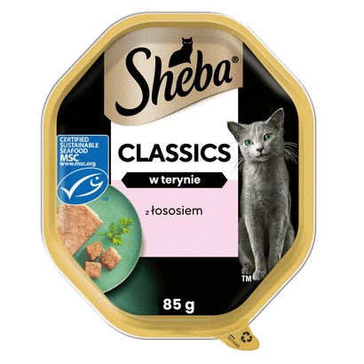 Classics z Łososiem w terynie