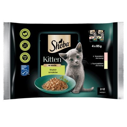 Kitten z Kurczakiem i Łososiem w sosie